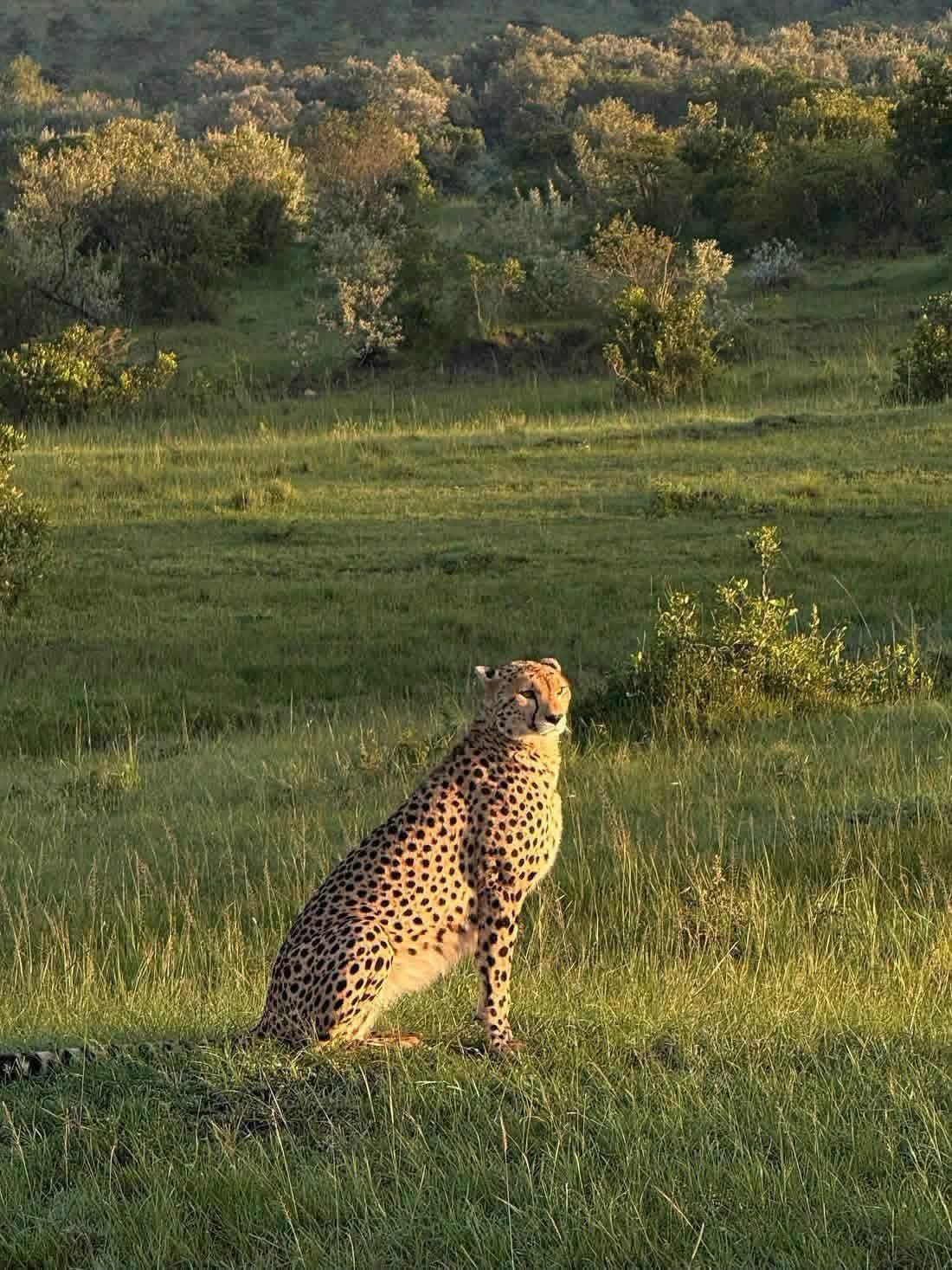2 Giorni - Maasai Mara