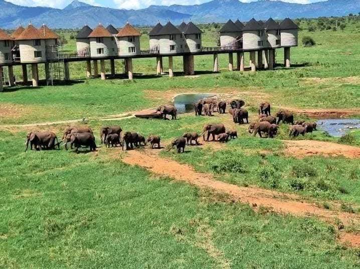 2 Giorni - Tsavo Est