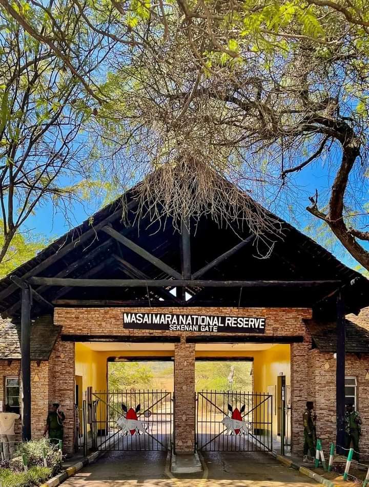 Maasai Mara 3 GG